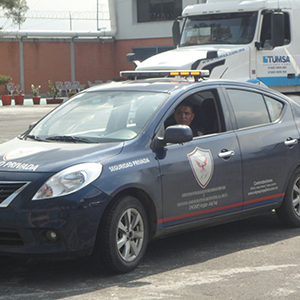 Custodia