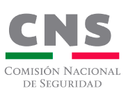 CNS